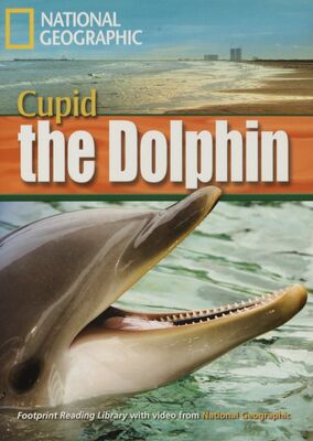Cupid the dolphin /