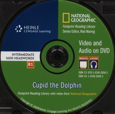 Cupid the dolphin /