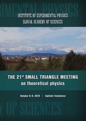 The 21st small triangle meeting on theoretical physics /