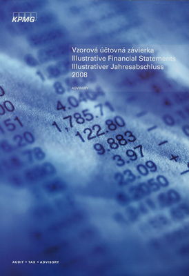 Vzorová účtovná závierka zostavená podľa slovenských právnych predpisov k 31. decembru 2008 : (v slovenskom, anglickom a nemeckom jazyku).