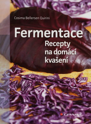 Fermentace : recepty na domácí kvašení /