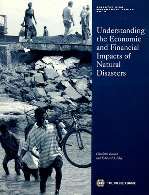 Understanding the economic and financial impacts of natural disasters /