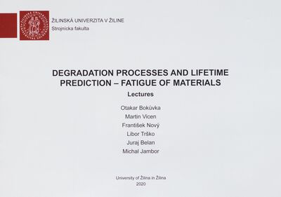 Degradation processes and lifetime prediction - fatigue of materials : lectures /