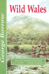 Wild Wales : its people, language and scenery /