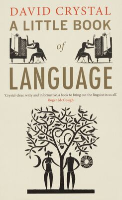 A little book of language /