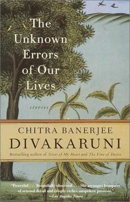 The unknown errors of our lives : stories /