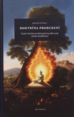 Doktrína probuzení : cesta k duchovní dokonalosti podle textů raného buddhismu /