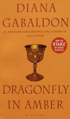 Dragonfly in amber : a novel /
