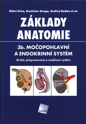 Základy anatomie. 3b, Močopohlavní a endokrinní systém /