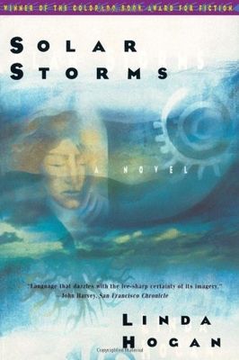 Solar storms : a novel /