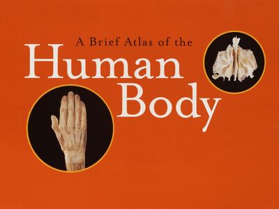 A brief atlas of the human body /