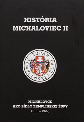 História Michaloviec. II, Michalovce ako sídlo Zemplínskej župy (1919-1922) /