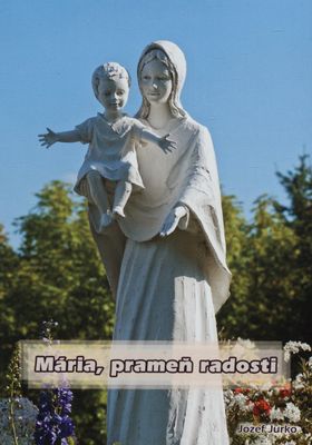 Mária, prameň radosti : reflexia k Roku Prebolestnej Panny /