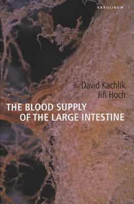 The blood supply of the large intestine /