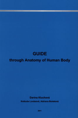 Guide through anatomy of human body /