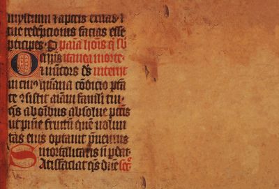 Stredoveké rukopisné fragmenty na tlačiach 16. storočia z fondu františkánskych knižníc Slovenskej národnej knižnice /
