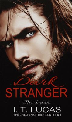 Dark stranger. Dream /