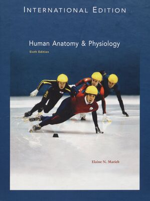 Human anatomy & physiology /