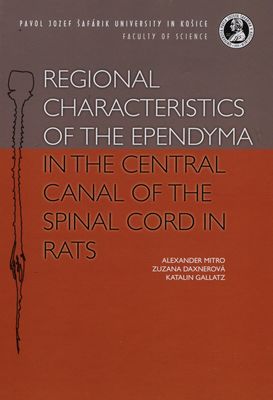 Regional characteristics of the ependyma in the central canal of the spinal cord in rats /
