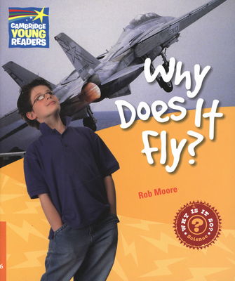 Why does it fly? : and other questions about flight /