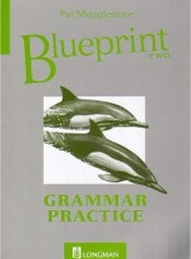 Blueprint Two. : Grammar Practice. /