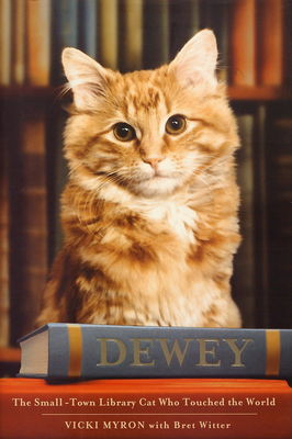 Dewey : the small-twon library cat who touched the world /