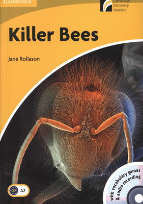 Killer bees /