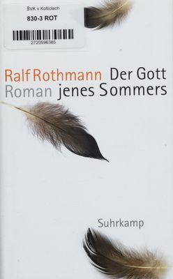 Der Gott jenes Sommers : Roman /