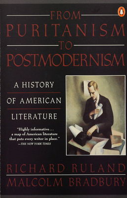 From puritanism to postmodernism : a history of American literature /