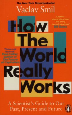 How the world really works : a scientist´s guide to our past, present and future /