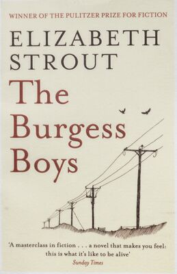 The burgess boys /