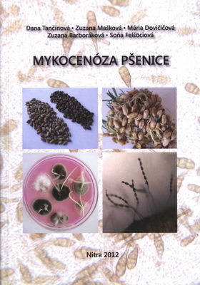 Mykocenóza pšenice /