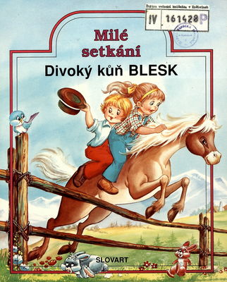 Divoký kůň Blesk /