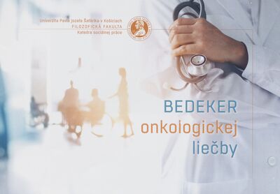 Bedeker onkologickej liečby : informačná brožúra /