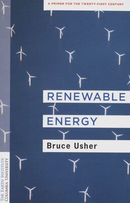 Renewable energy : a primer for the twenty-first century /