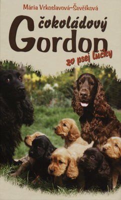 Čokoládový Gordon zo psej lúčky /